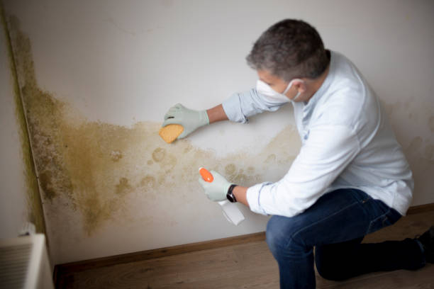 Best Dehumidification Services  in Southeast Arcadia, FL