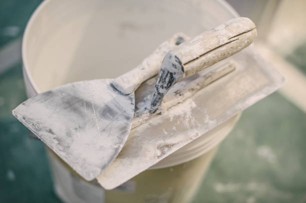 Best Asbestos and Lead Testing During Mold Inspection  in Southeast Arcadia, FL